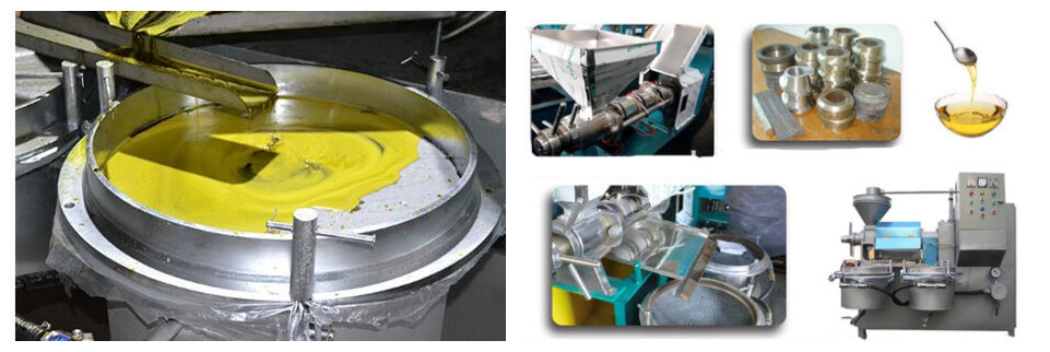 Automatic screw oil press machine with filter