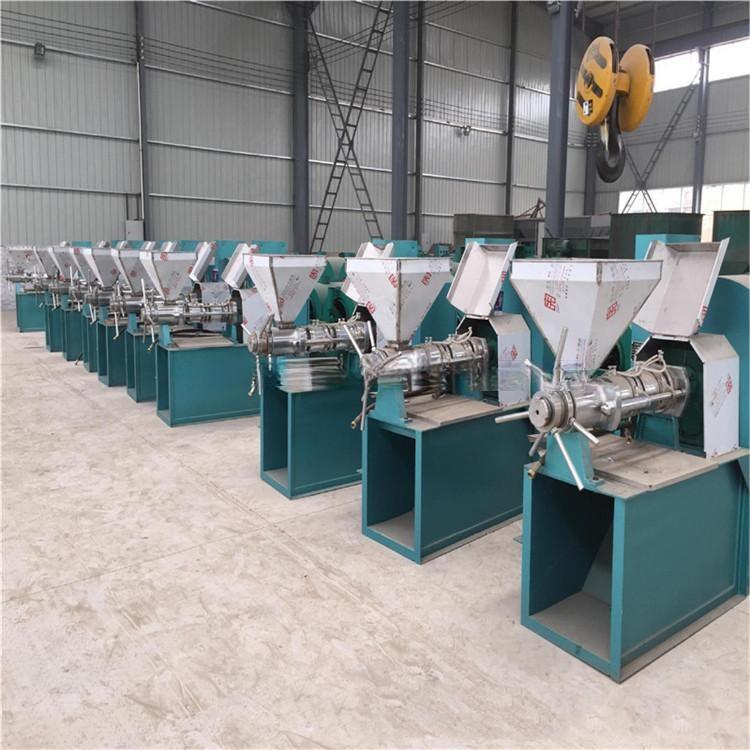 Cold Peanut Oil Press Machine Olive Oil Mill Making Pressing Coconut oil pressers Extracting Machine