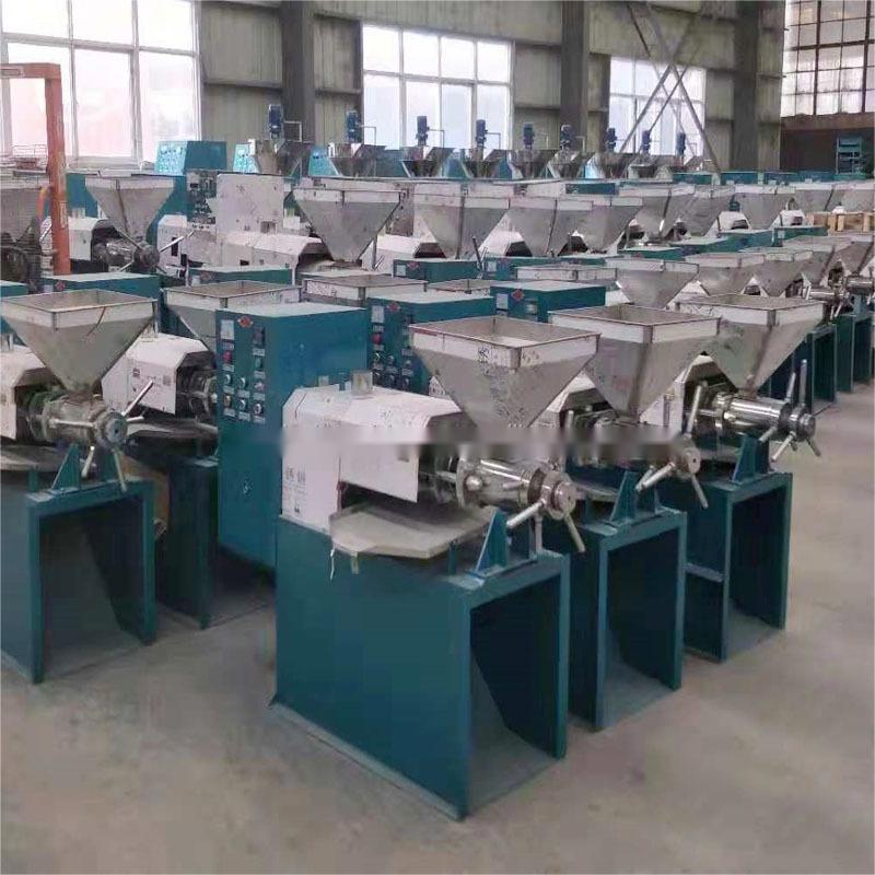 Cold Peanut Oil Press Machine Olive Oil Mill Making Pressing Coconut oil pressers Extracting Machine