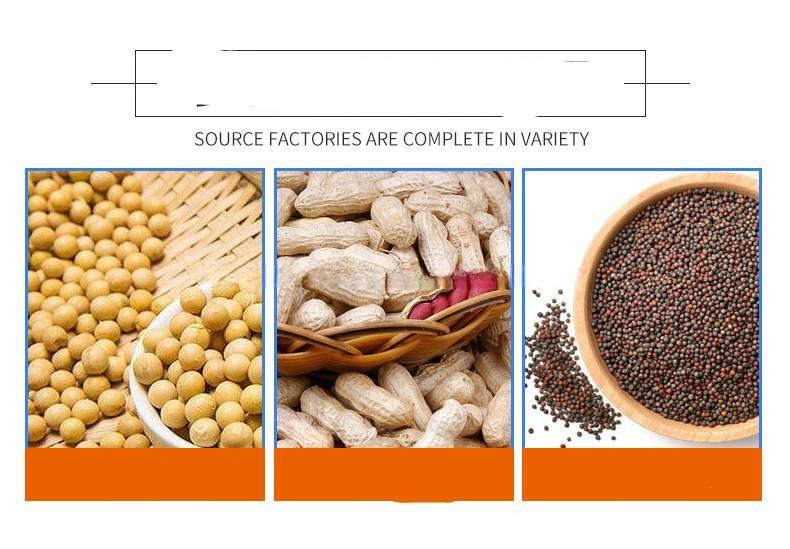 Cold Peanut Oil Press Machine Olive Oil Mill Making Pressing Coconut oil pressers Extracting Machine