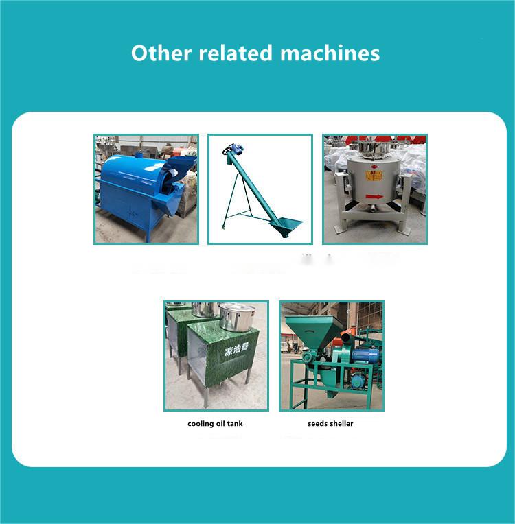 Cold Peanut Oil Press Machine Olive Oil Mill Making Pressing Coconut oil pressers Extracting Machine