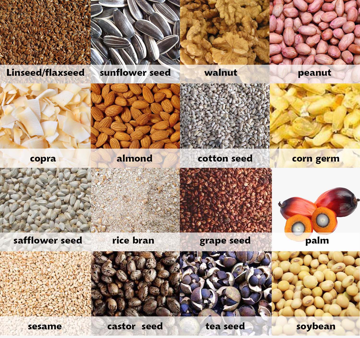 Factory sales vegetable oil processing plant automatic cooking oil making machine