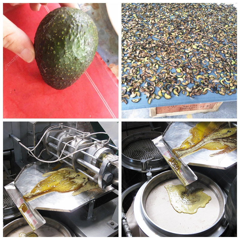 Automatic Rapeseed Soybean Palm Seeds Peanut Mustard Sesame Oil Pressers Extracting Olive Oil Extraction Machine