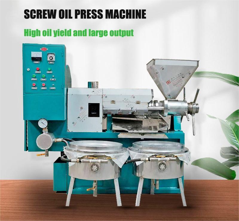 Small Sunflower Oil Pressing Machine in Botswana