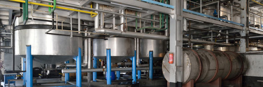 medium scale crude palm oil refinery design