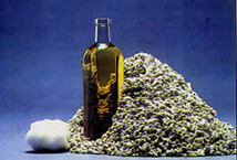 cotton seed oil