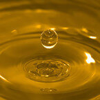 cottonseeds oil for cooking