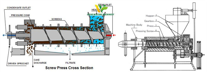 how does screw oil expeller work and its structure