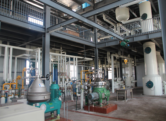 Large Scale Palm Oil Refining Plant