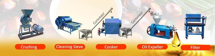 mini palm kernel oil processing plant Malaysia