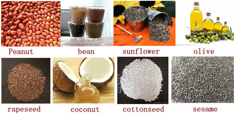 oil-bearing materials for oil extraction by screw oil extractor