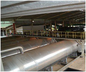 palm oil boiler 