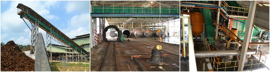 palm oil extraction plant