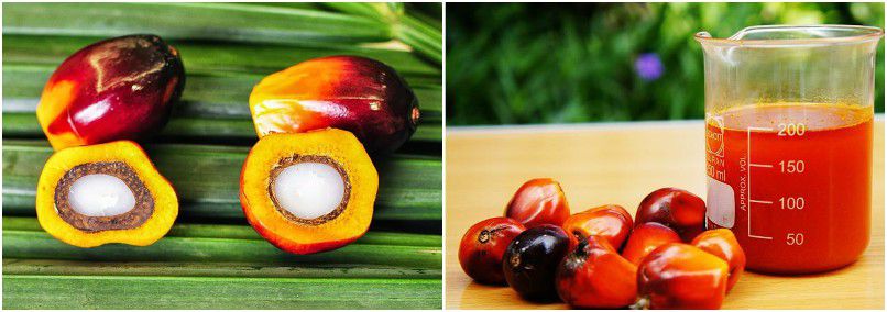 palm oil mill machinery provided by QI'E company with reasonable price