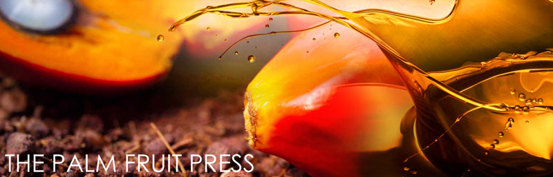 plam oil made by palm oil production line