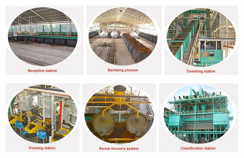 main machines in palm oil pressing plant
