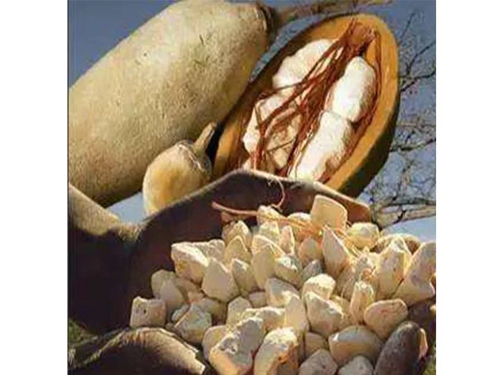 baobao fruit