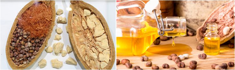 baobab oil uses