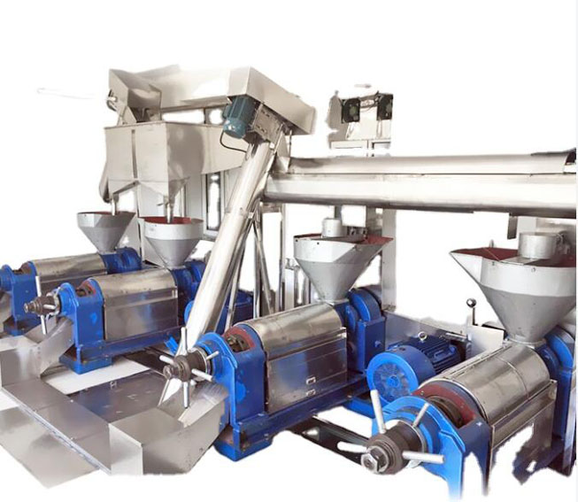 Baobab Seed Oil Press Machine and Extraction Machine