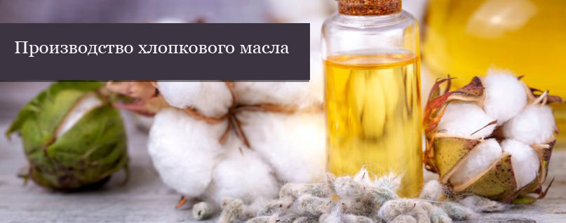 cotton seed oil extracted from cotton seeds