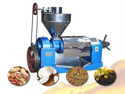 small groundnut oil press