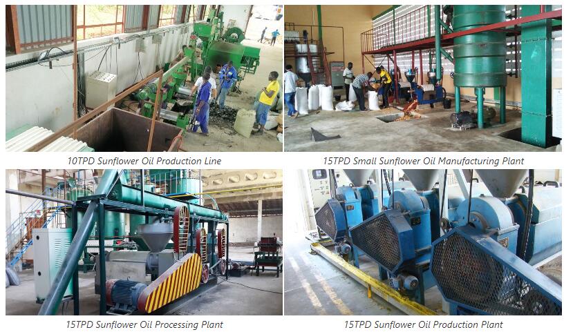 Sunflower Oil Processing Plant
