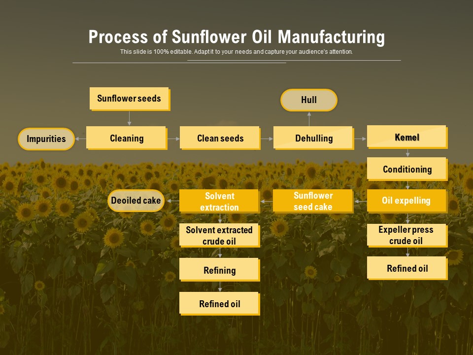 sunflower oil production process