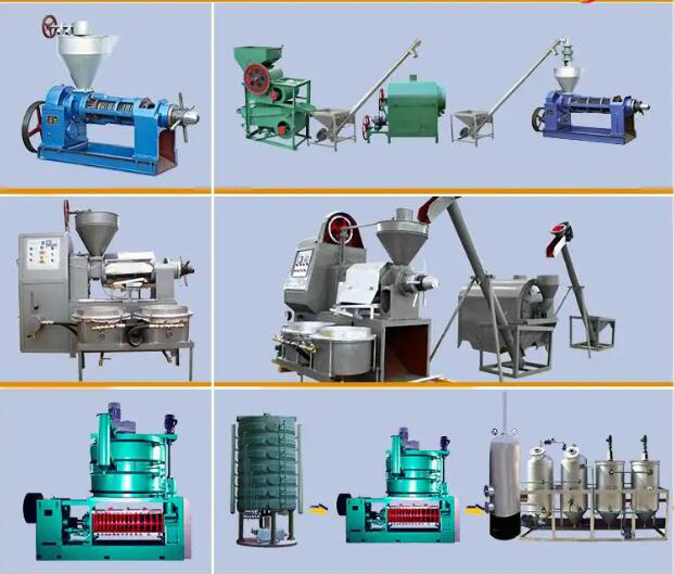 Cooking Oil Press Machine for Sale
