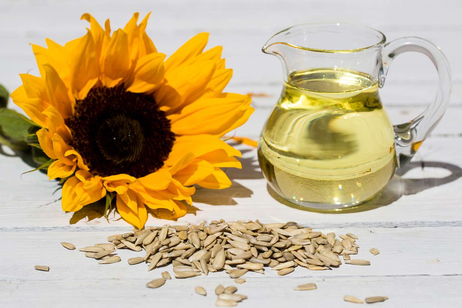 sunflower oil making and production