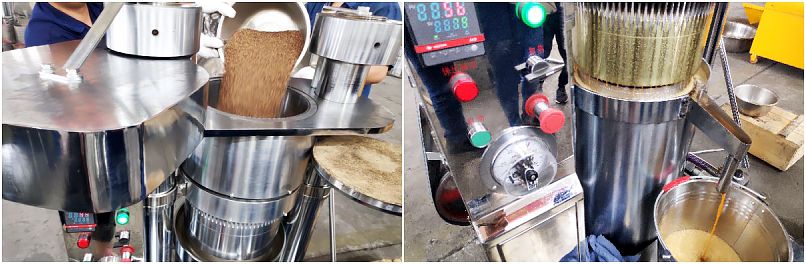 Hydraulic Oil Press Machine