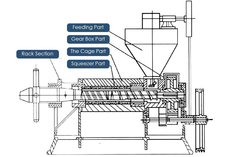 sale screw oil press machine