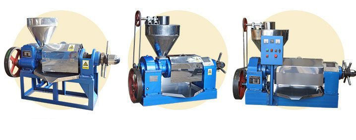 sunflower screw oil press machine