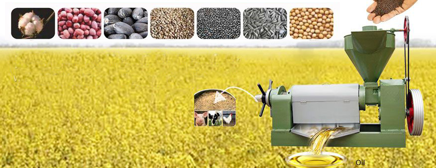 sunflower oil machinery for small scale vegetable oil production