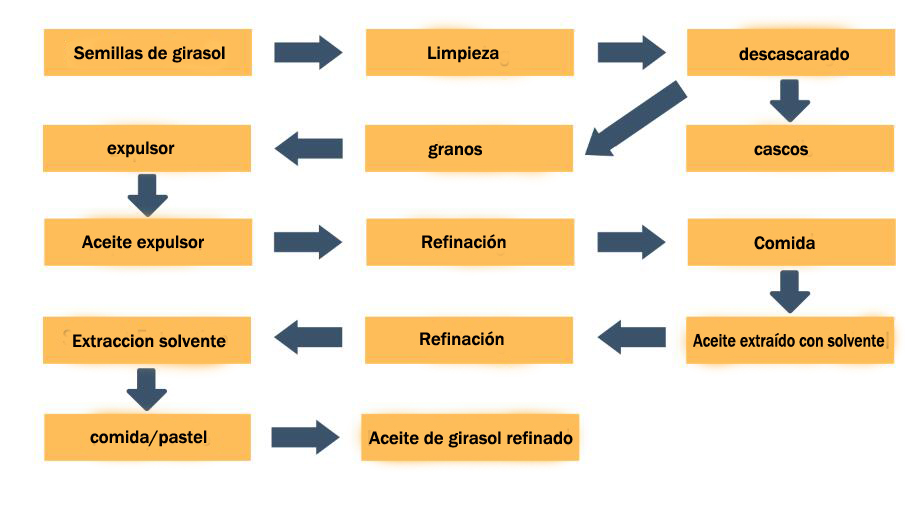 proceso de prensado de aceite de girasol