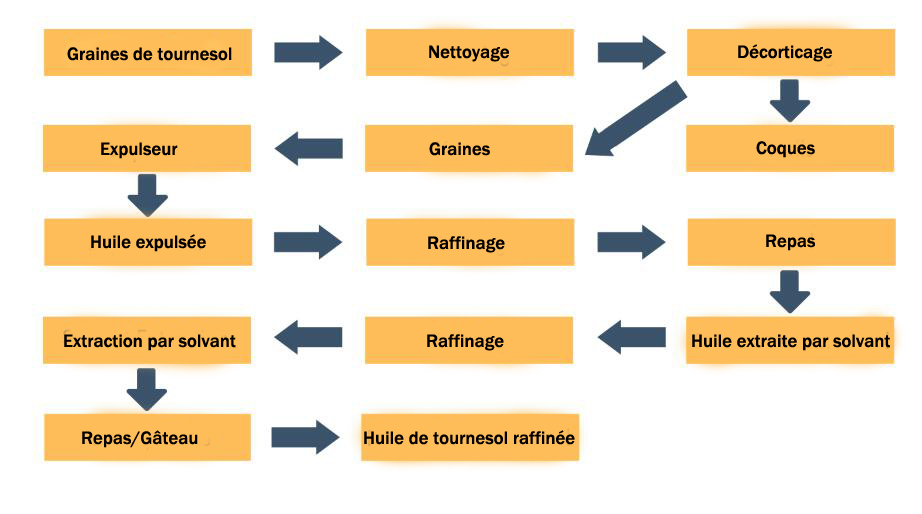 processus de pressage de l'huile de tournesol