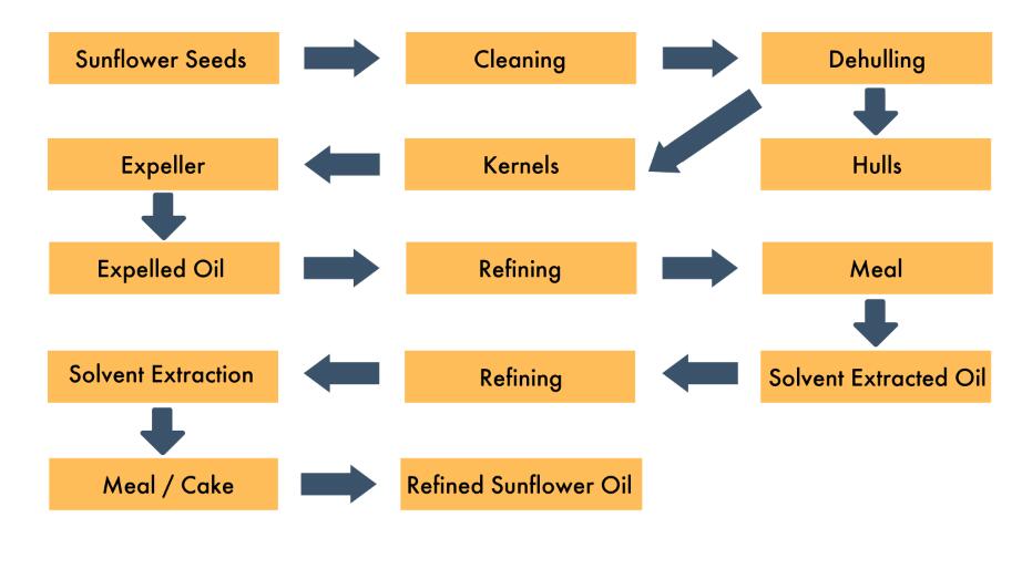 sunflower oil pressing process